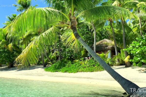 Tur privat cu barca insulei 🏝 Paradis tropical |  Motu Tane Bora Bora, Polinezia Franceză 🇵🇫 |  Călătorie 4K