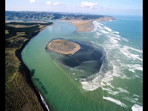 Port Waikato