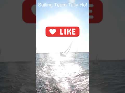 Trăiește viața pe margine!  #sailing #sailingvideo #yachting #lakeminnetonka