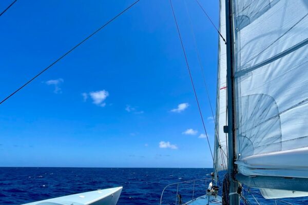 Navigare peste Oceanul Pacific - Ziua 12