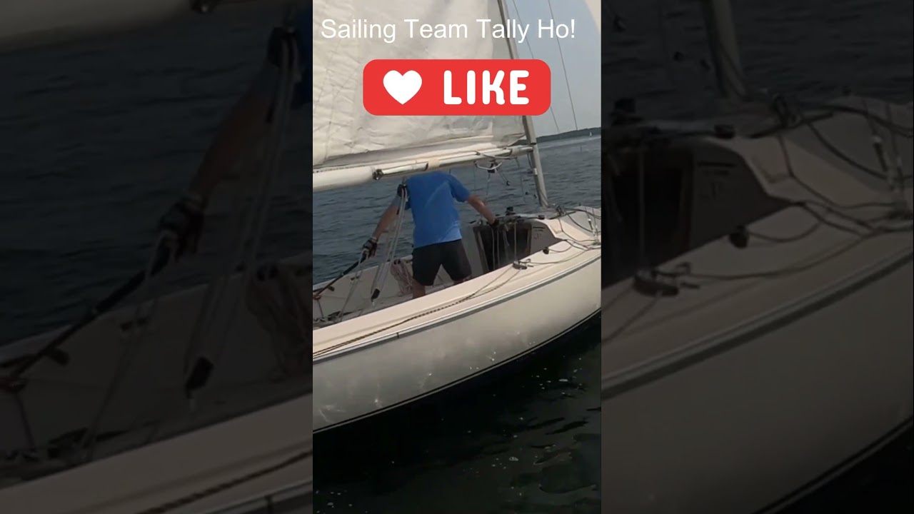 Ajutor!  Unde a plecat echipajul?  #sailing #yachting #sailingvideo #short