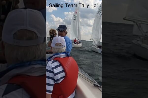 Aceasta este o încălzire?  #sailing #sailingvideo #yachting #lakeminnetonka #shorts