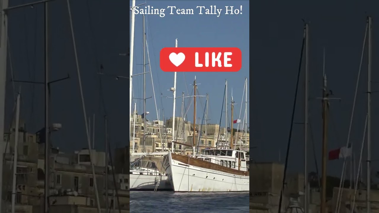 Eschivând megayacht-urile, Oh My!  #sailing #yachting #sailingday