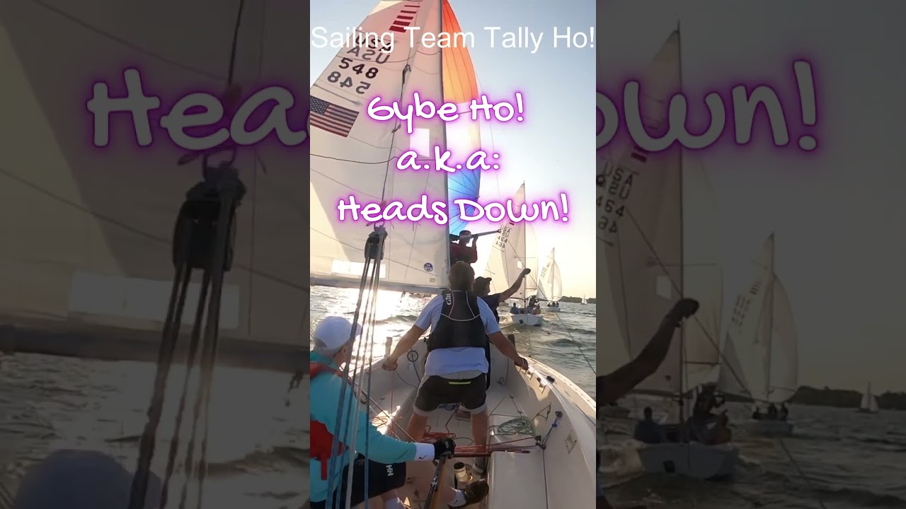 Fa asta!  (Dacă vrei să ții capul atașat) #sailing #yachting #sailingvideo #shorts