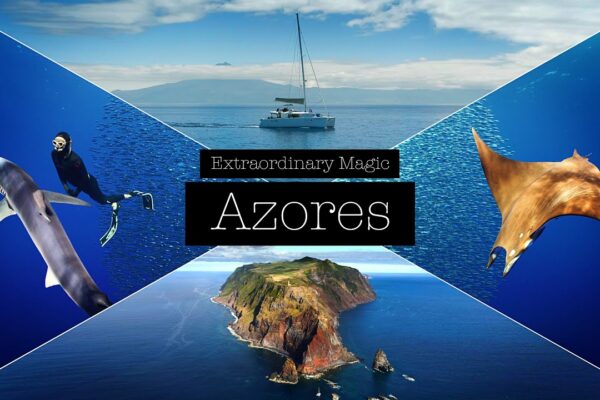Magie extraordinară - scufundări și navigare în Azore