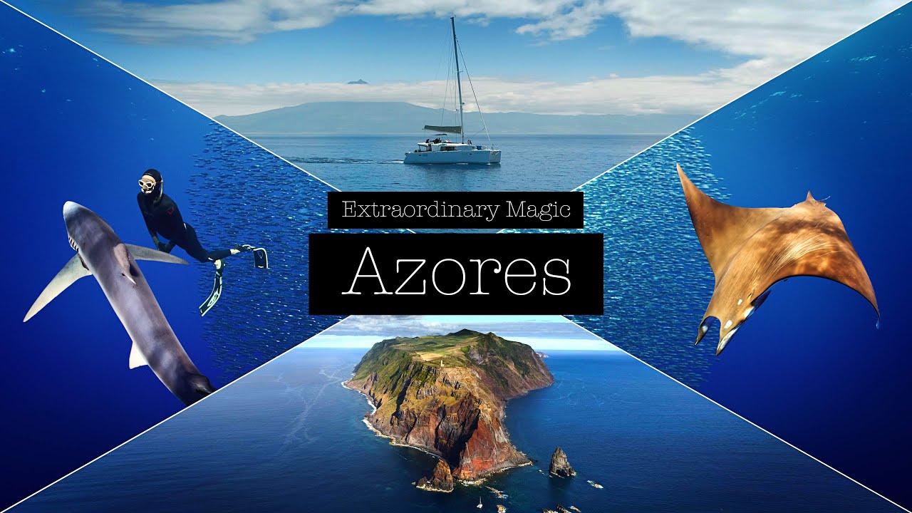 Magie extraordinară - scufundări și navigare în Azore