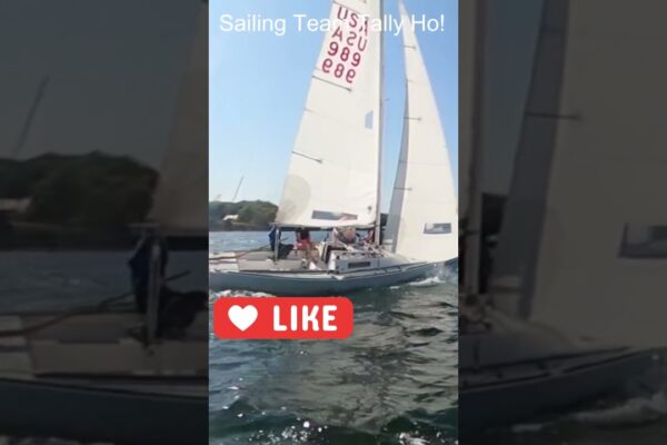 Începeți să faceți asta chiar acum!  #sailing #sailingvideo #yachting #shorts #lakeminnetonka