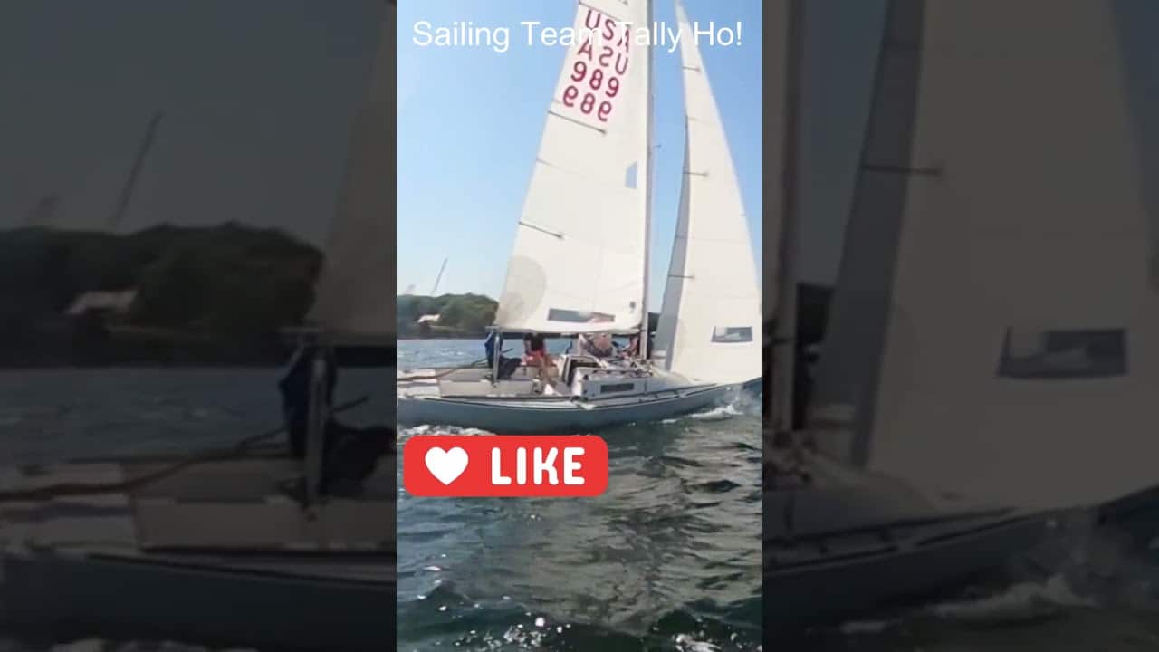 Începeți să faceți asta chiar acum!  #sailing #sailingvideo #yachting #shorts #lakeminnetonka