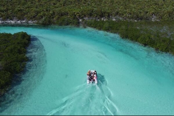 Navigarea pe Exumas - Partea 2 - Râul cu broaște țestoase de mare și plajă privată!