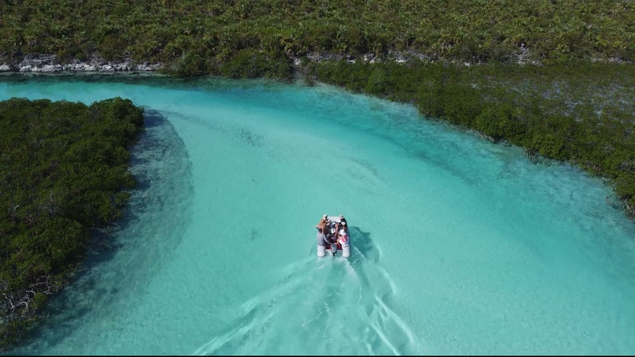 Navigarea pe Exumas - Partea 2 - Râul cu broaște țestoase de mare și plajă privată!