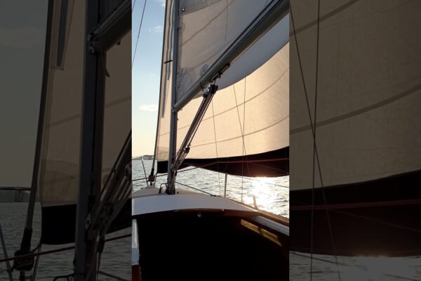 Sailing Sleepy Dog Catalina 25 Clip 4 Scurt