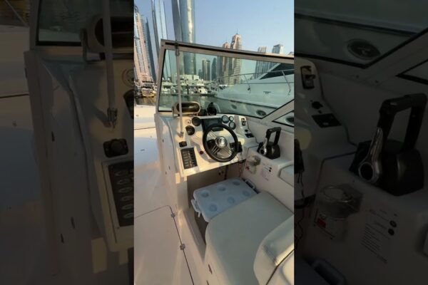 Flame 31ft(9.5m) 8 pax flame yachting - închiriere de bărci și charter de iahturi în Dubai