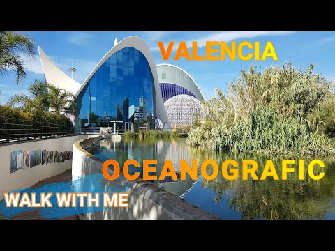 VALENCIA ~Oceanografic ~ SPANIA #oceanografic #valencia #spania