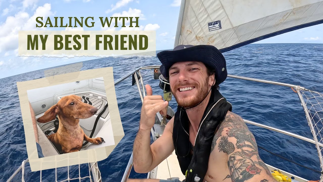Navigați în Caraibe cu câinele meu Wiener (este minunat)