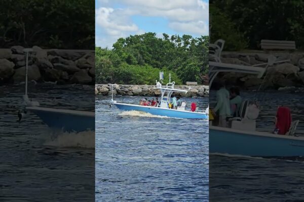 Distracție cu barca la debarcaderul Venice Florida #VeniceFlorida #BoatingFun #VeniceJetty