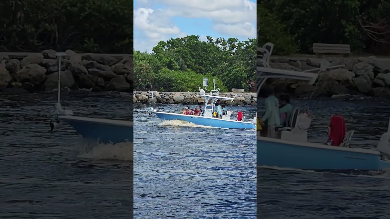 Distracție cu barca la debarcaderul Venice Florida #VeniceFlorida #BoatingFun #VeniceJetty