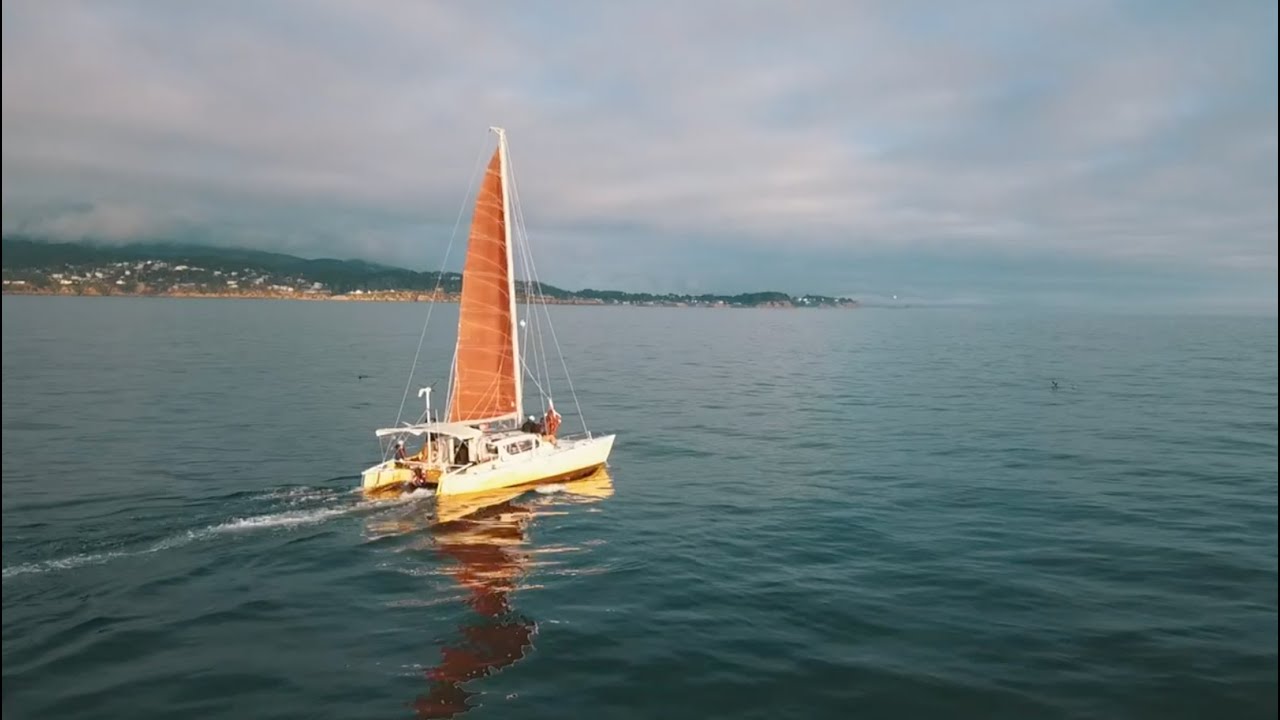 Navigați cu catamaranul nostru de 2 USD din SF către LA!