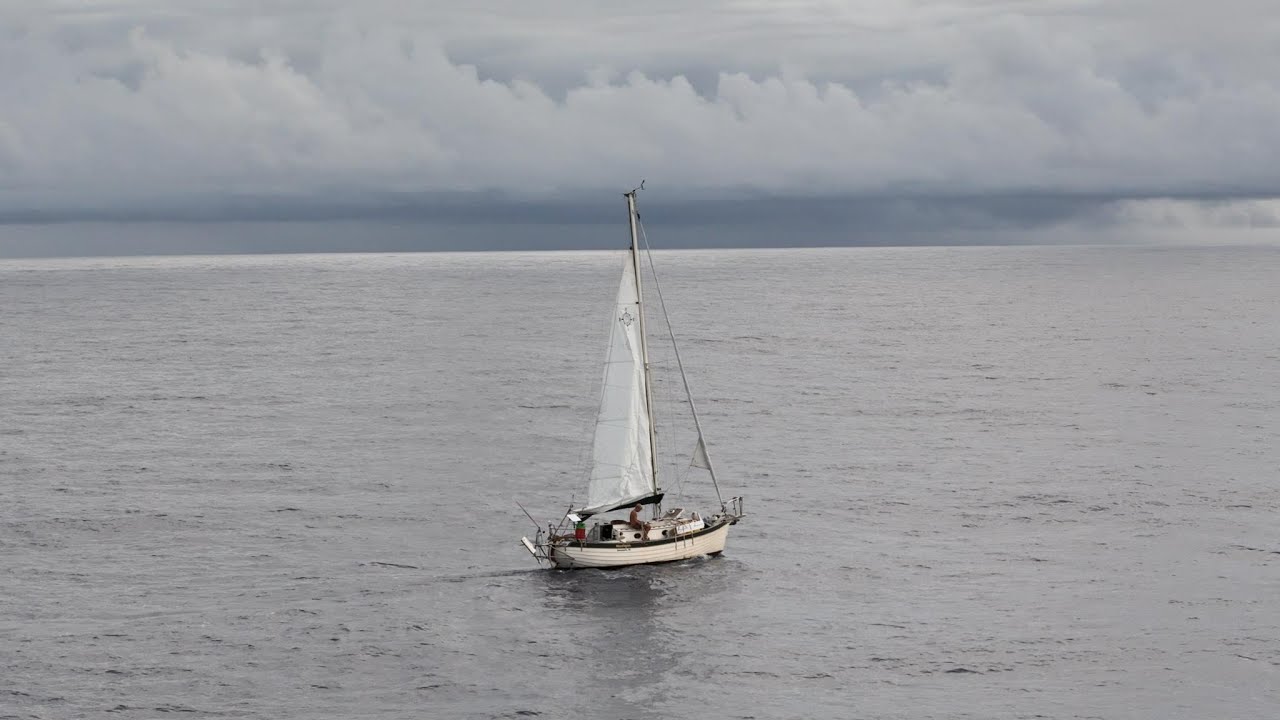 Scufundări cu șerpi și navigare către Tonga