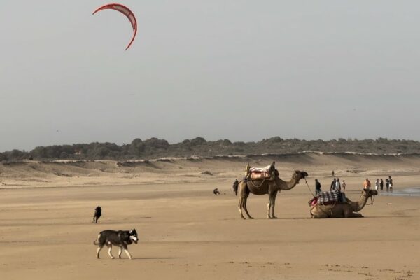 Agadir, Essaouira și kitesurfing și reglarea motorului