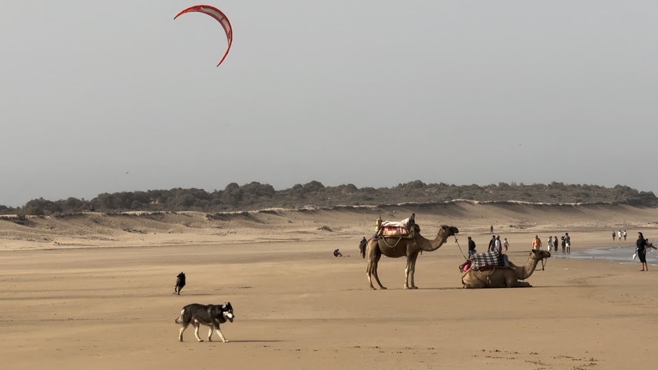 Agadir, Essaouira și kitesurfing și reglarea motorului