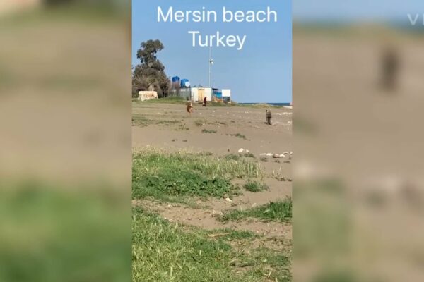 Plaja Mersin Turcia 🇹🇷