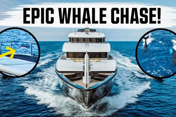 Superyacht Drone DEZASTER și Epic Whale Chase! - Motor Yacht Loon Ep.1