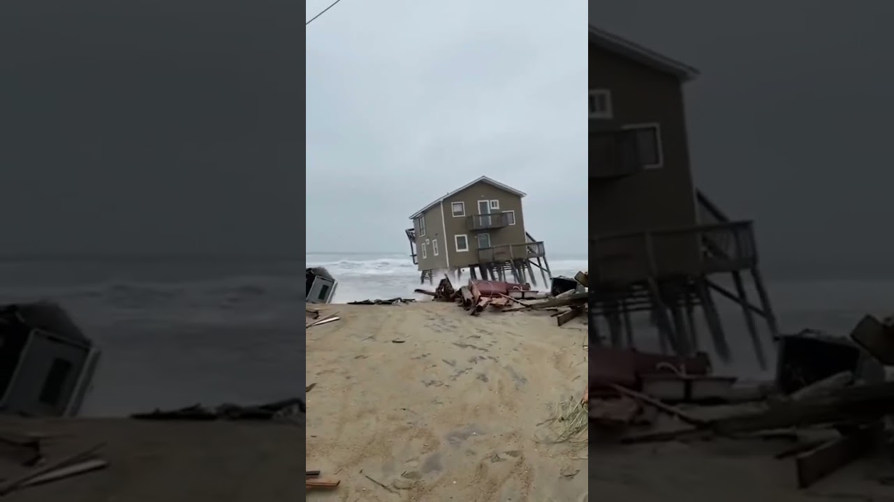 Ocean Mysteries: monștri marini periculoase fotografie oceanică sub apă animale sălbatice periculoase