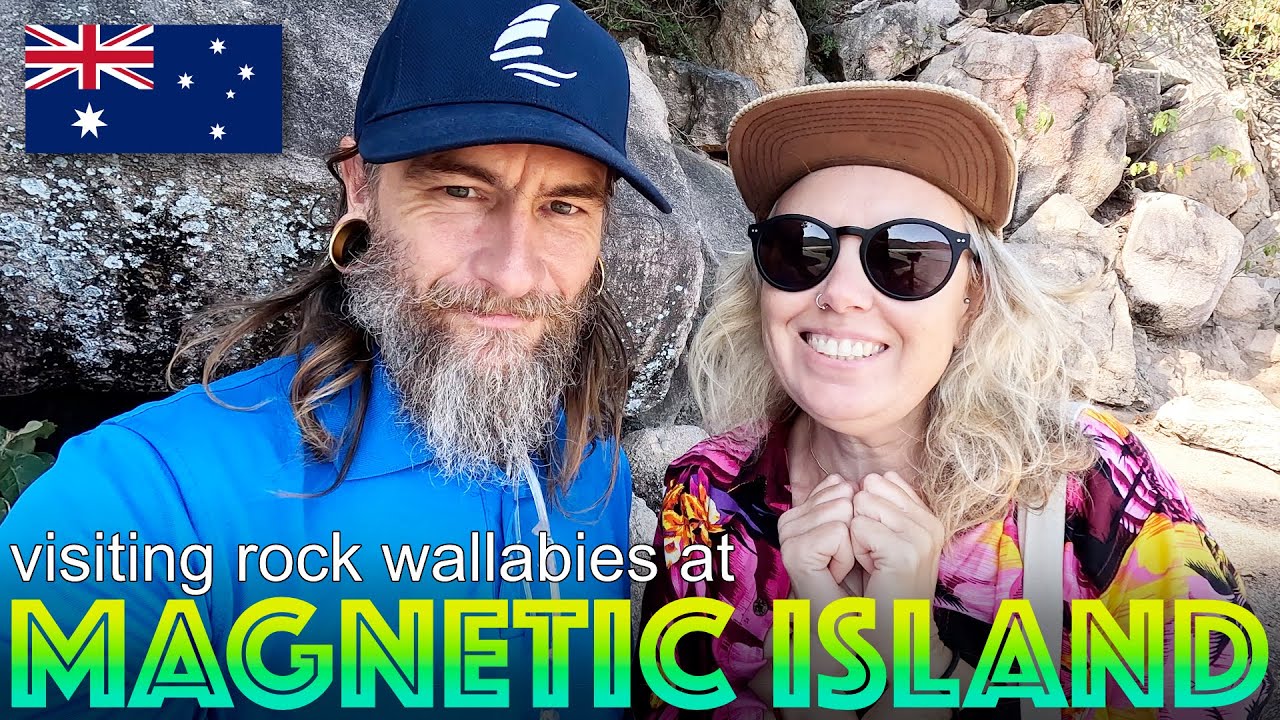 Vizitați Rock Wallabies din Magnetic Island și găsiți dușuri uimitoare cu apă caldă pe Insula Dunk