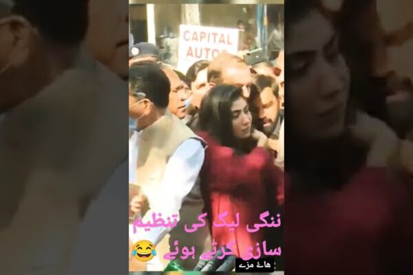 Hina Parvez Butt Ki Video Leak | PMLN KI TANZEEM SAZI | Hina Parvez Butt organizează