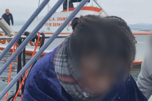 Boater condus la o femeie goală la 3 mile în larg de delfini