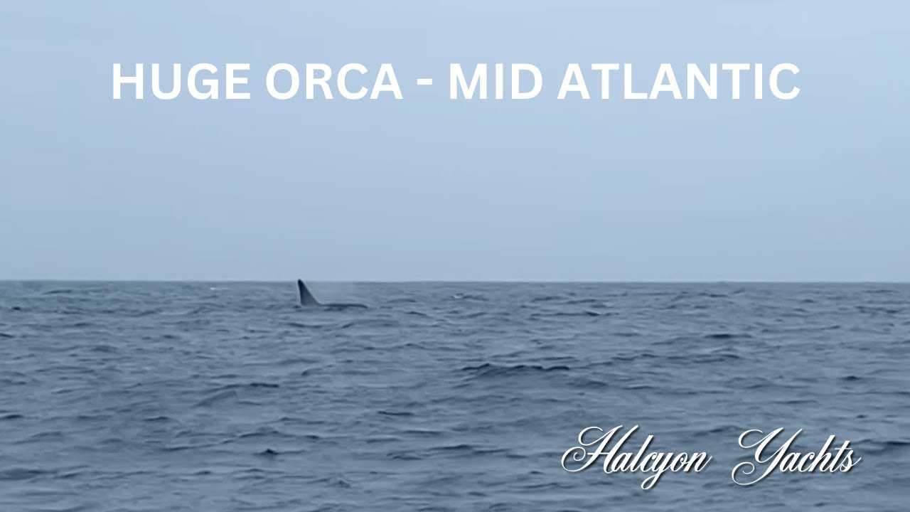 Rustler 42 - Un iaht transatlantic Livrare: Bermude în Azore