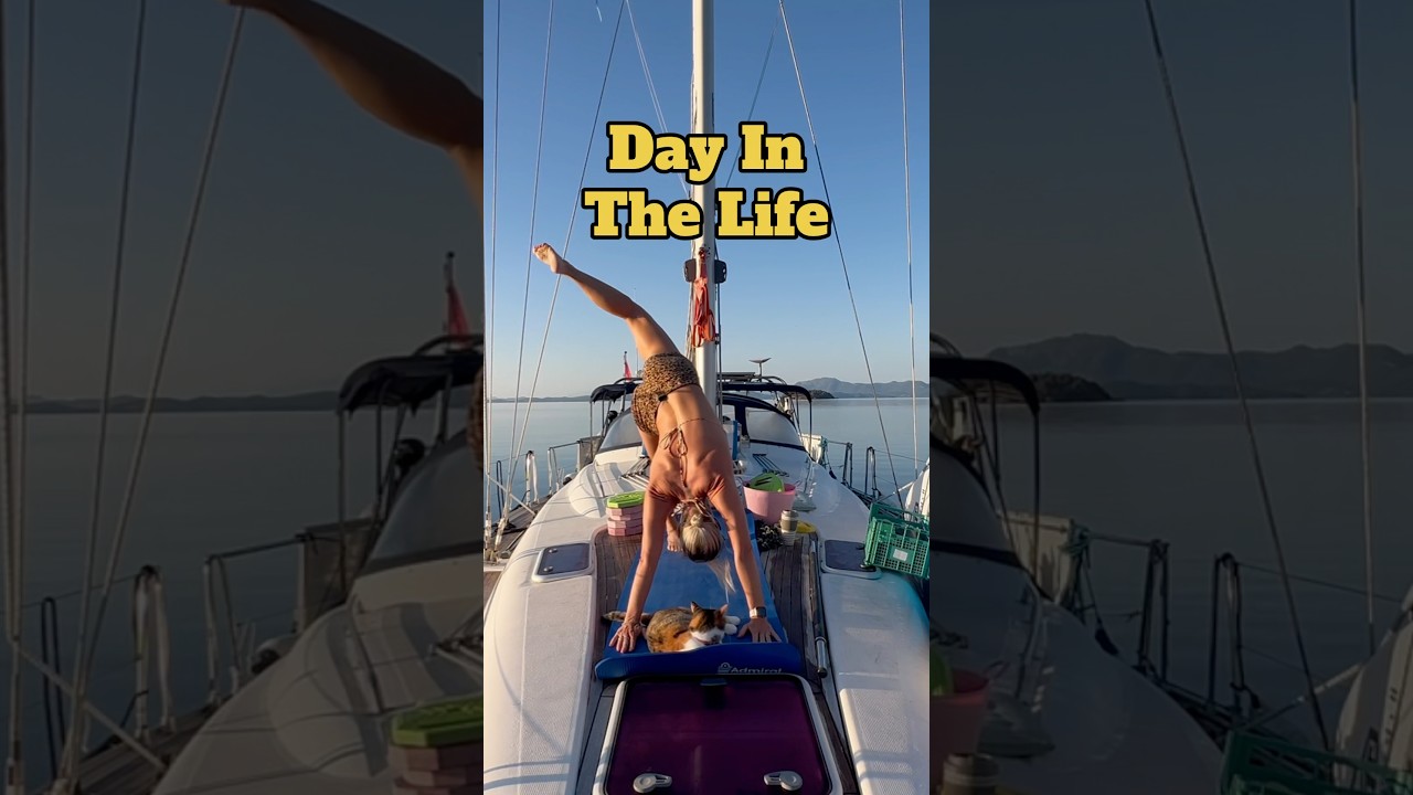 ZI ÎN VIAȚA UNUI LIVEABOARD YOUTUBER/MAMĂ! #short #sailing #sailinglife
