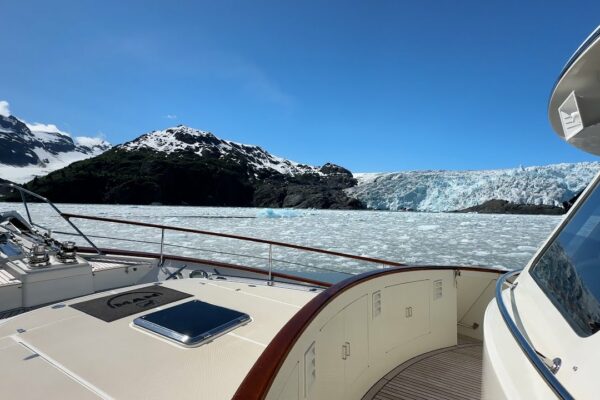 Kenai Fjords la Prince William Sound