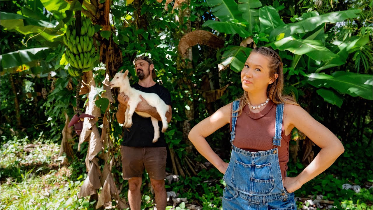 Trăiește în afara rețelei timp de 1 an | REGREM?! Lucruri la care nu ne așteptam...