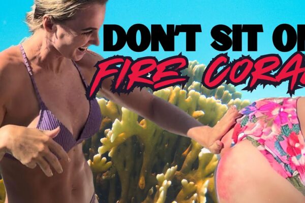 Don't Sit On Fire Coral (Sailing the British Virgin Islands) episodul 27