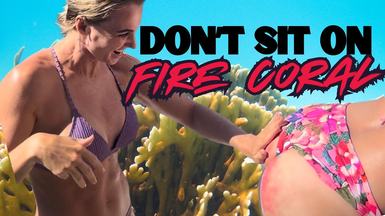 Don't Sit On Fire Coral (Sailing the British Virgin Islands) episodul 27