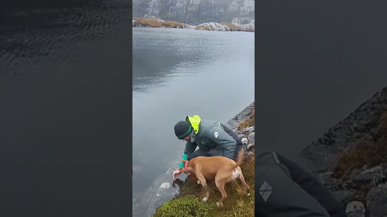 Viața câinelui pe o barcă - Partea 2 #dog #adventure #sailing