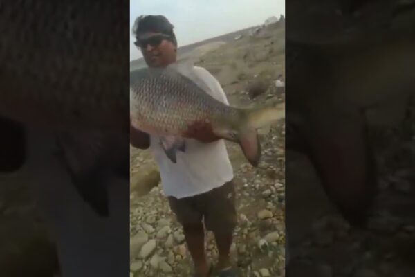 BARAJ MANGLA | MANGLA DAM BOATING CLUB | PESCUIT&VLOGURI