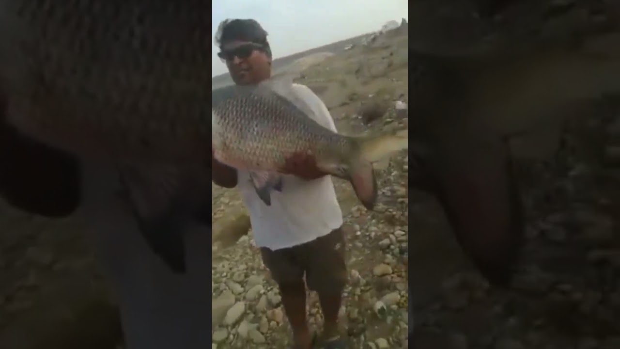 BARAJ MANGLA | MANGLA DAM BOATING CLUB | PESCUIT&VLOGURI