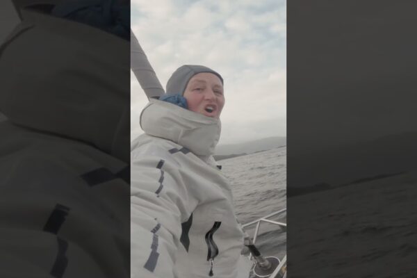 Dacă nu-ți iubești nici delfinii, ești mort înăuntru - Sailing Scotland