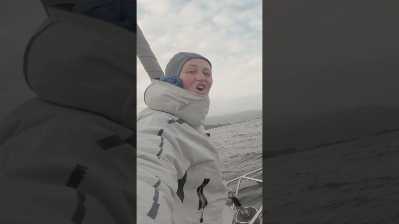 Dacă nu-ți iubești nici delfinii, ești mort înăuntru - Sailing Scotland