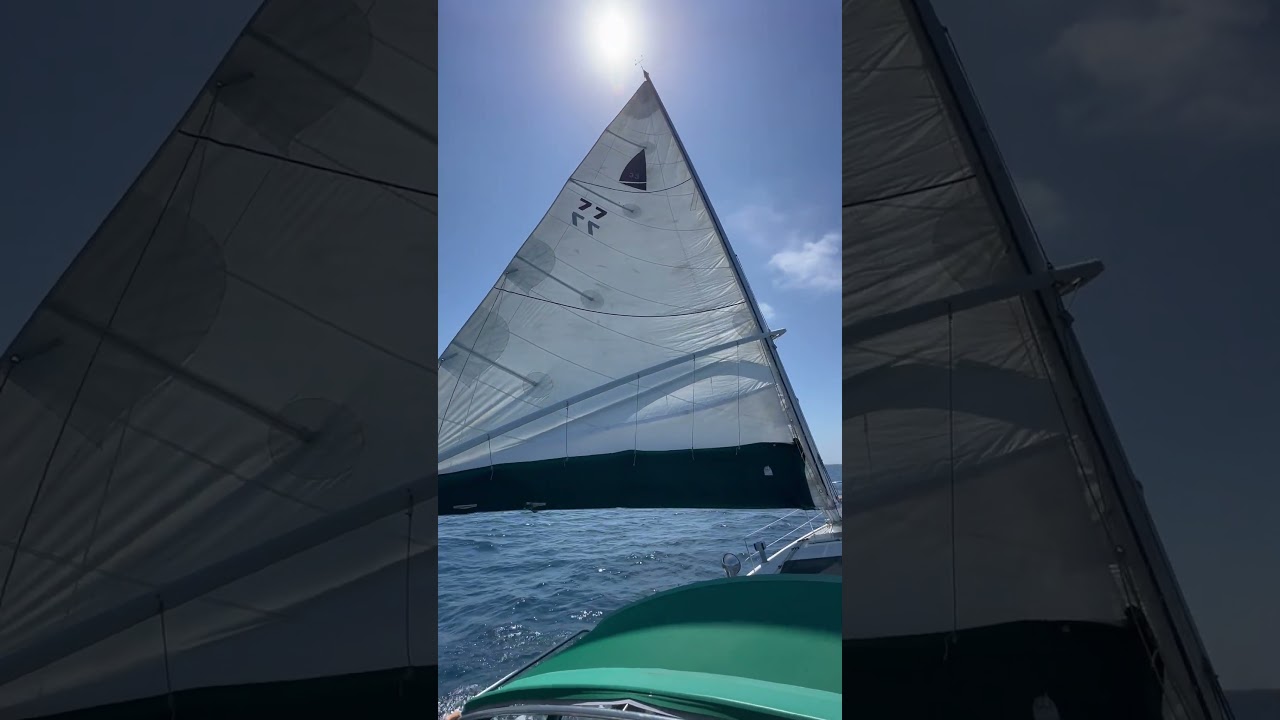 Vela Under Sail pe 9-4-2024