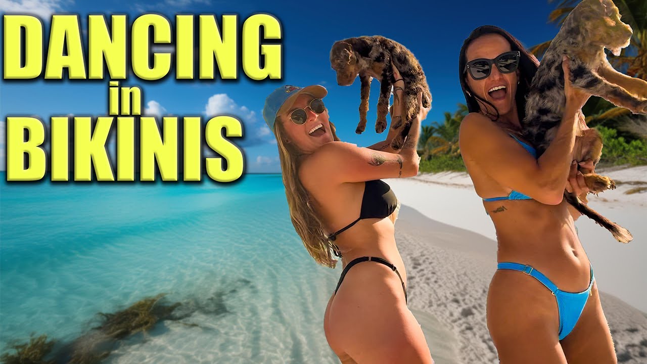 Dansatoare în bikini cu căței, se face mai bine?