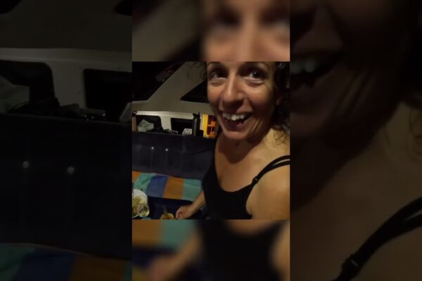 Aventura cu navigație: delfini, mese la apus și sosiri în siguranță!