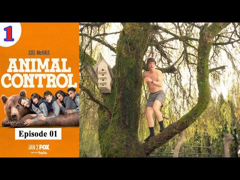 Nevăstuici și struți | Controlul animalelor | Controlul animalelor - Sezonul 1 Episodul 01 | Animalul