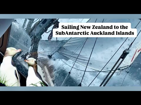 Navigați prin Noua Zeelandă către Insulele Auckland subantarctice.