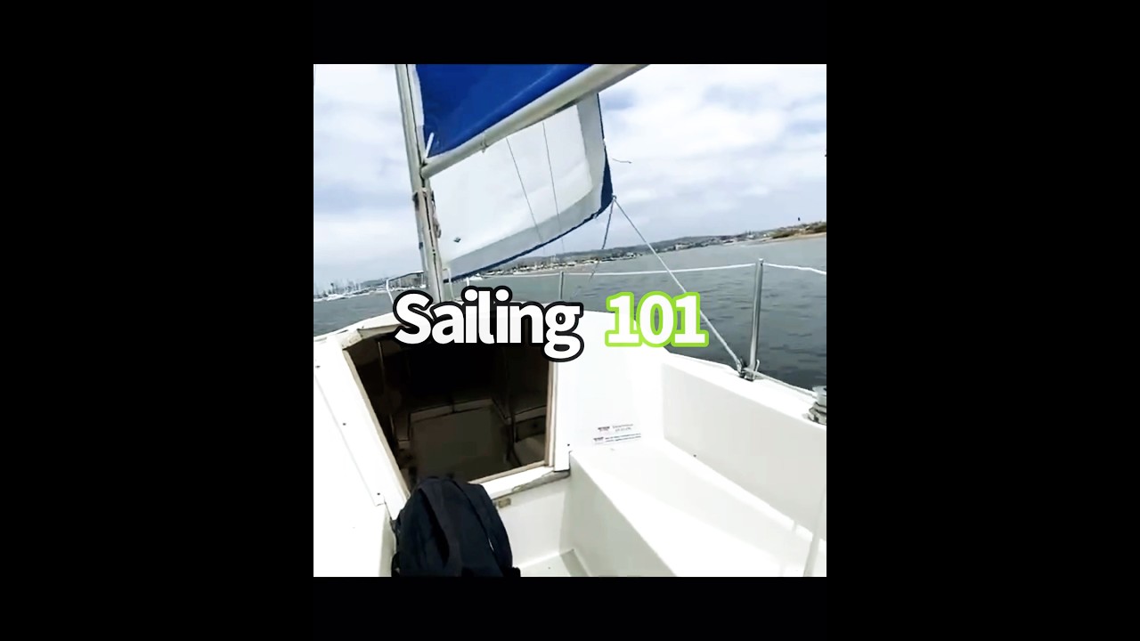 Sailing San Diego 101 #shortsvideo #trending #sailing