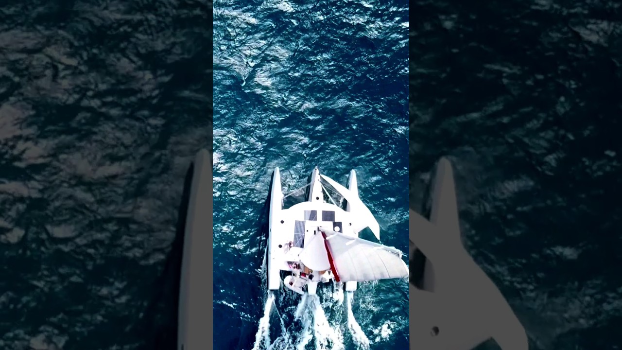 De ce să alegeți o barcă rapidă cu pânze? #pantaloni scurți #navigație #trimaran