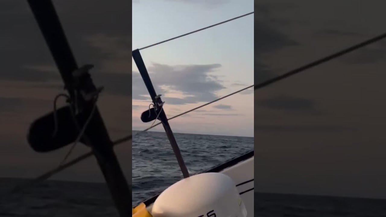Un răsărit frumos cu Violette Dorange | Vendée Globe 2024