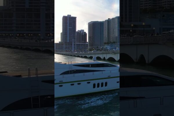 Leopard navigând lângă PortMiami